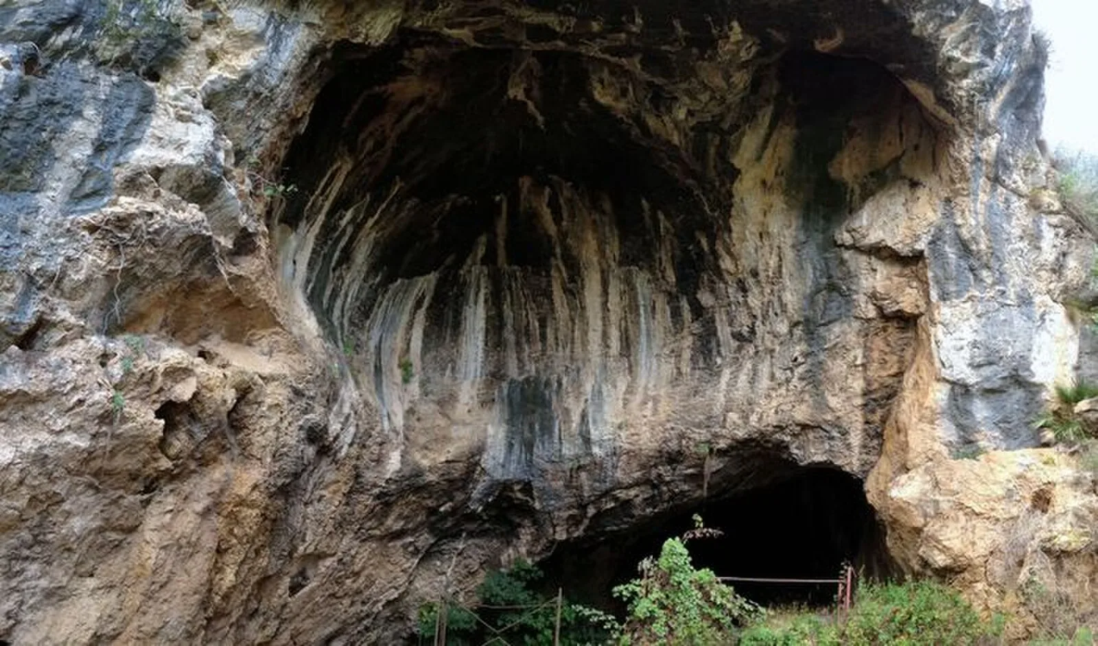 Cova Negra